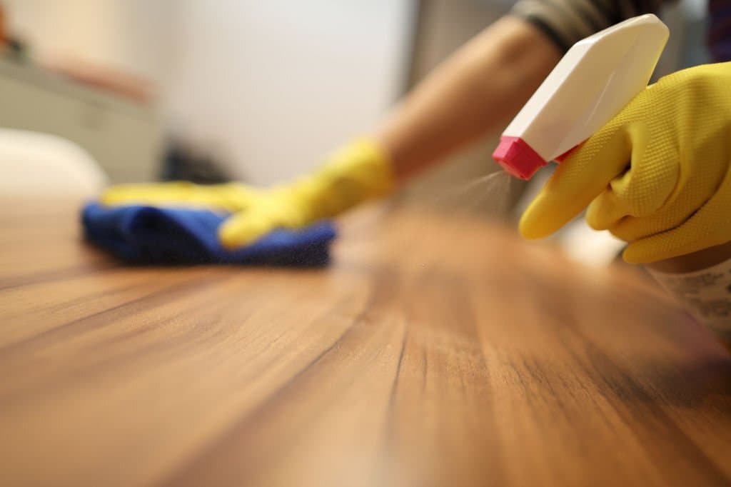 House Cleaning Del Mar 2