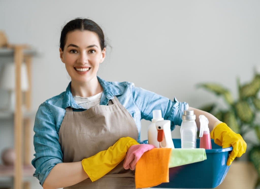 House Cleaning Descanso 1