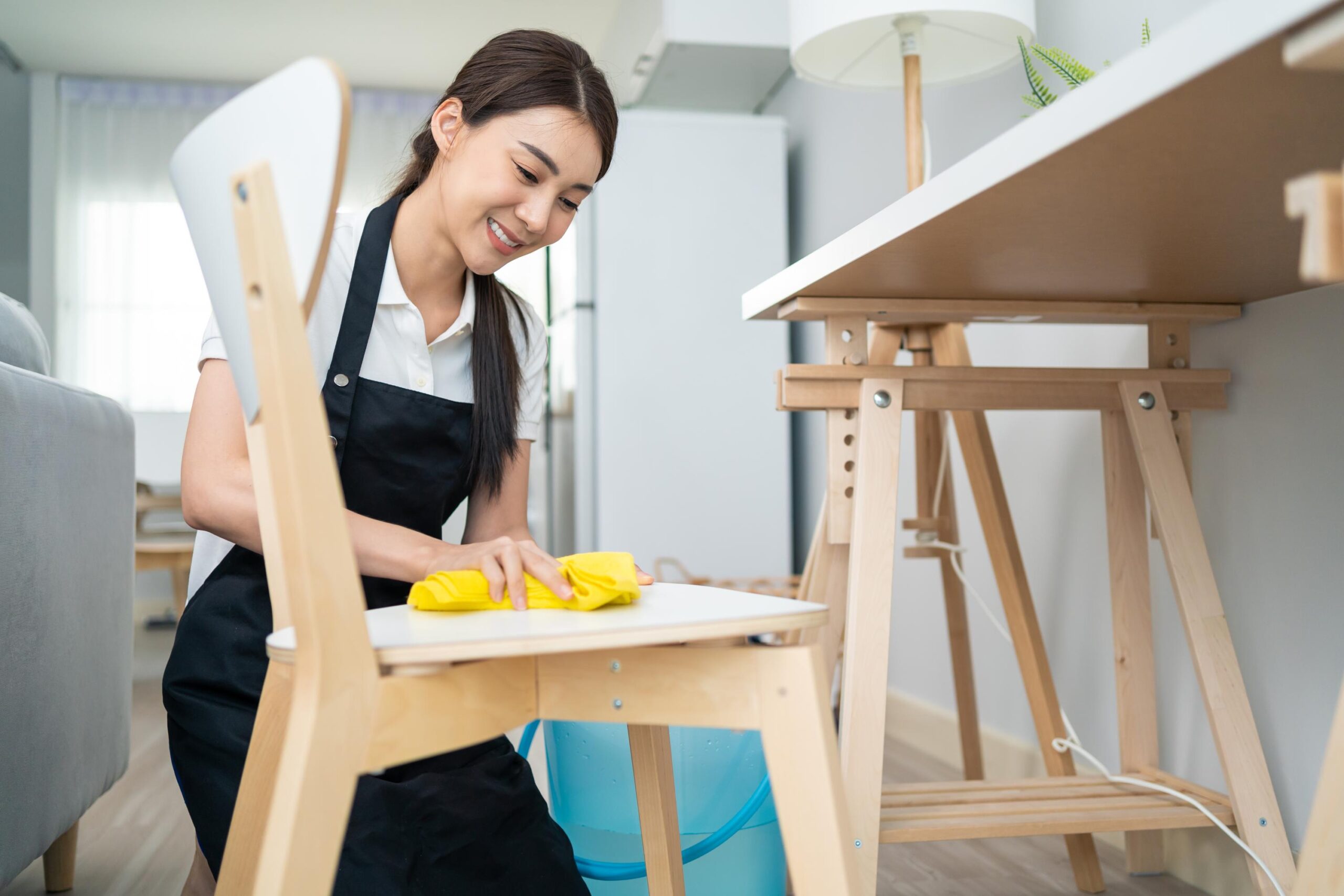 House Cleaning San Diego 2