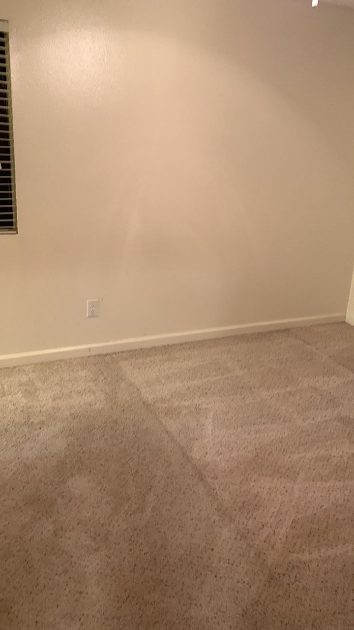 Freshly cleaned carpet after a move-out clean in San Diego